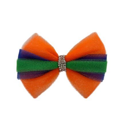 Bow Collegiate Florida